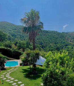 White Dream Spotorno