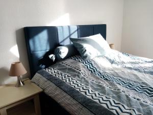 B&B / Chambres d'hotes La Metairie de Biaudos : photos des chambres