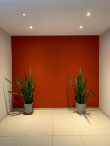 Apartamento 5 Carcano