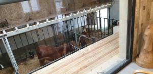 B&B / Chambres d'hotes Equi-lodges : Chambre Familiale