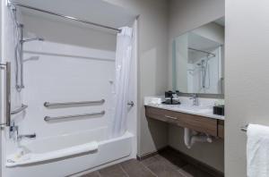 King Deluxe Disability Access Tub - Non-Smoking room in Holiday Inn San Marcos Convention Center an IHG Hotel