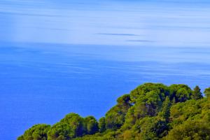 House in Εndless green - Arethousa, Ikaria Ikaria Greece