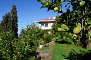 House in Εndless green - Arethousa, Ikaria Ikaria Greece