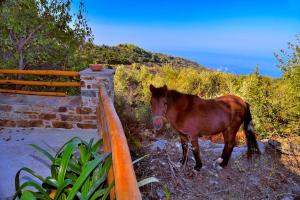 House in Εndless green - Arethousa, Ikaria Ikaria Greece