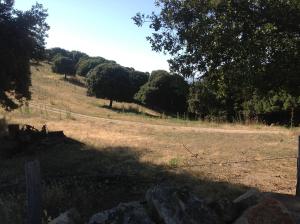 Maisons de vacances Paomia : photos des chambres