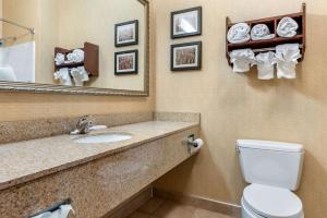Comfort Suites Elkhart South