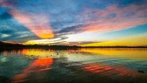 Grand Amazon Lodge and Tours -Inclusive