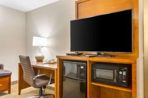 Double Suite with Sofa Bed - Non-Smoking room in Comfort Suites Oakbrook Terrace near Oakbrook Center