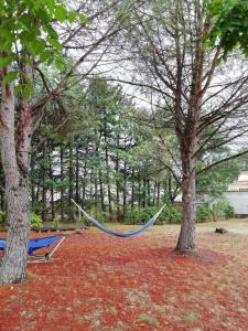 Appartements Appartement 2 pieces sur jardin en Pic Saint-Loup : photos des chambres