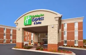 Holiday Inn Express Hotel & Suites Auburn Hills by IHG - Birch Run