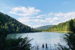 Chalets Lullaby House - Large, full comfort 5 star chalet house in the Vosges : photos des chambres