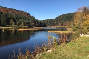 Chalets Lullaby House - Large, full comfort 5 star chalet house in the Vosges : photos des chambres