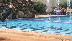 Ameg Lodge Kilimanjaro