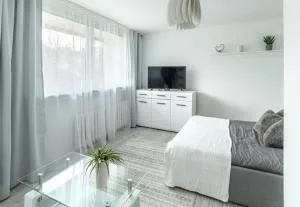 LeSi - 杜什尼基-兹德鲁伊