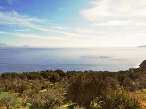 Charming Villa Amidst Olive Trees With Sea Views Arkadia Greece