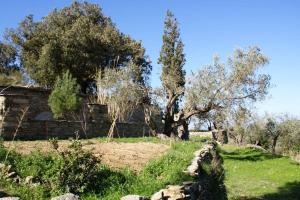 Authentic Ikarian Stone House and Living Experience Ikaria Greece