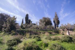 Authentic Ikarian Stone House and Living Experience Ikaria Greece