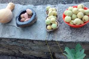 Authentic Ikarian Stone House and Living Experience Ikaria Greece