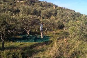 Authentic Ikarian Stone House and Living Experience Ikaria Greece