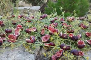 Authentic Ikarian Stone House and Living Experience Ikaria Greece