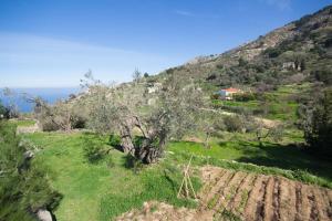 Authentic Ikarian Stone House and Living Experience Ikaria Greece