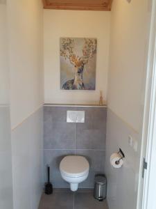 Two-Bedroom Chalet room in 't Nieuwe Nest