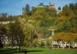 Appartements Appartement chateau Uriage-Chamrousse : photos des chambres