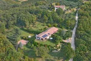 B&B Romy Rocker - Mizzole