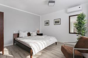 Sonnige Tage in Dresden