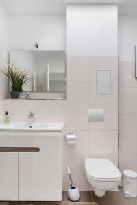 Sonnige Tage in Dresden