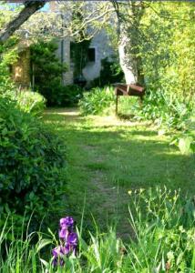 B&B / Chambres d'hotes Aux berges du pont du gard : photos des chambres