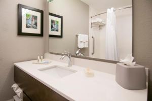 Standard King Room room in Holiday Inn - New Orleans Airport North an IHG Hotel