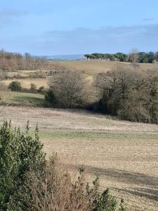 Maisons d'hotes Ty'Galis : photos des chambres