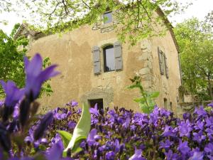 Maisons d'hotes Ty'Galis : photos des chambres