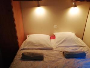 Maisons de vacances Mas Maurane - L'Olivier avec SPA prive aux portes d'ARLES : photos des chambres