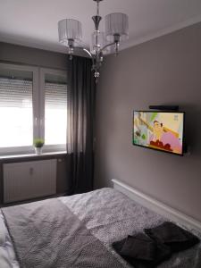 Apartament Centrum 1 Maja 35D VIP