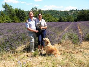 B&B / Chambres d'hotes Santolines en Provence : photos des chambres