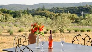 Maisons de vacances Le Clos d'Estellan - Piscine chauffee : photos des chambres