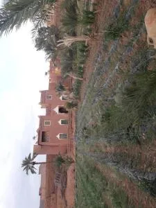 Hostel jnane dar diafa is in the center of tamegrouteface of the bibiotheque - Tamegroute