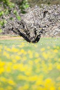 Le Clos dEstellan - Piscine chauffée