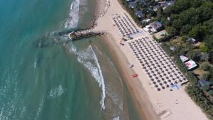 Club del Sole Stork Family Collection