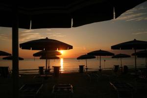 Club del Sole Stork Family Collection