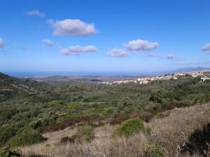 Stella Del Sud img45