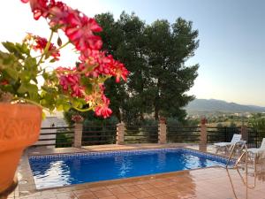 Casas Rurales Cazorla-Alcón