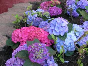 Residence Hotel Nuraghe img5