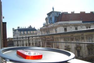 Luxurious Apartment with Balconies in DownTown BP