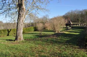 Maisons de vacances Gite pour 4 personnes - Dordogne : photos des chambres