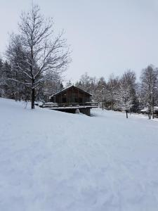 Chalet Le Forestier