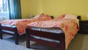 Apartment Roxana Centar