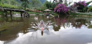 Acantos Hotel Campestre